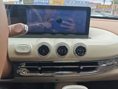 Wuling Binguo 333km Joy Edition - ფოტო 13