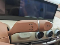Wuling Binguo 333km Joy Edition - ფოტო 14