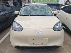 Wuling Binguo 333km Joy Edition - ფოტო 3