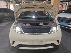 BYD Dolphin 420km Fashion Edition - ფოტო 20
