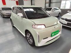 ORA White Cat Little Wildcat 360km Luxury Ternary Lithium - ფოტო 4
