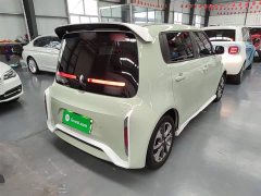 ORA White Cat Little Wildcat 360km Luxury Ternary Lithium - ფოტო 7