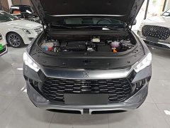 BYD Song Pro New Energy 2024 DM-i 71KM Glory Edition Pilot - ფოტო 16