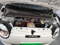 Changan Lumin 205km Xiangqin Edition - ფოტო 20