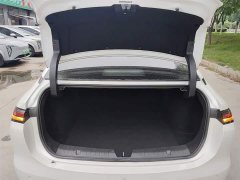 GAC AION S MAX 70 Executive - ფოტო 19
