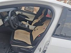 BYD Qin PLUS 2023 Champion Edition DM-i 55KM Leading - ფოტო 14