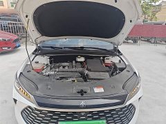 BYD Qin PLUS 2023 Champion Edition DM-i 55KM Leading - ფოტო 19