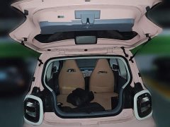 FAW Besturn Xiaoma 222km Lightning Edition - ფოტო 10