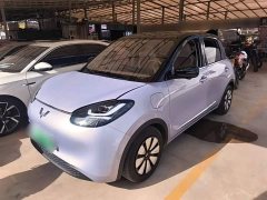 Wuling Binguo 333km Lingxi Premium Edition - ფოტო 1