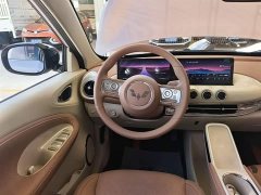 Wuling Binguo 333km Lingxi Premium Edition - ფოტო 11