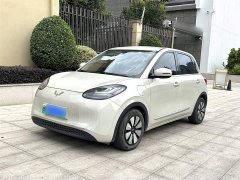 Wuling Binguo 2023 333km Joy Edition - ფოტო 1