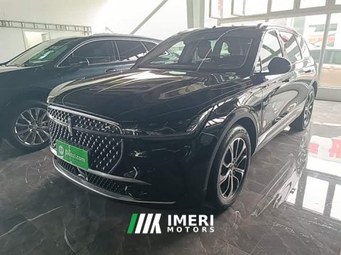 2024 Lincoln Navigator 2023 2.0T AWD Prestige - ავტომობილი ჩინეთიდან