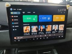 BYD Dolphin 06 DM-i Smart Drive 120KM Premium Edition - ფოტო 11