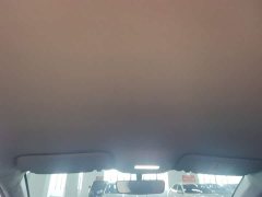 Geely Geometry A 410KM Travel Edition - ფოტო 18