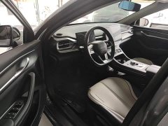 BYD Destroyer 05 Glory Edition DM-i 55KM Luxury - ფოტო 16