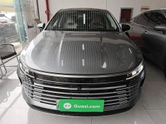 BYD Destroyer 05 Glory Edition DM-i 55KM Luxury - ფოტო 3