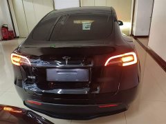 Tesla Model Y Rear-Wheel Drive - ფოტო 6