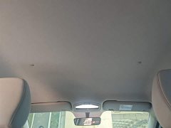Geely Geometry E Firefly 301km Aurora - ფოტო 18