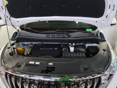 GAC Aion M8 Master Series 390T Premium Edition - ფოტო 10