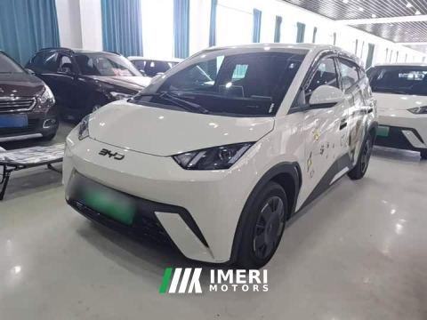 2024 BYD Seagull 305km Vitality Edition - car from China