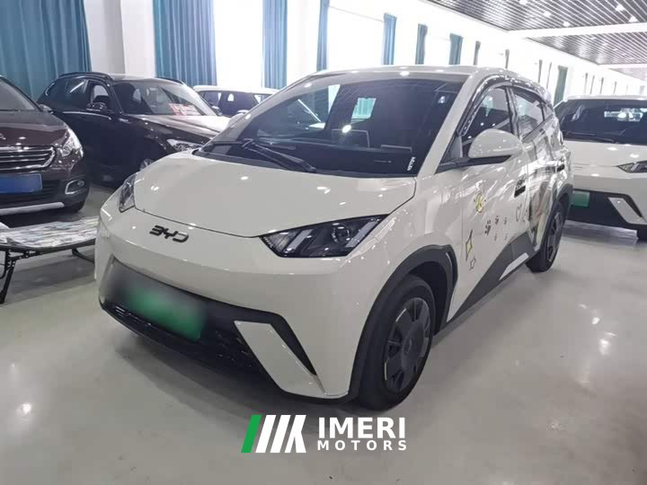 BYD Seagull 305km Vitality Edition