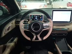 BYD Seagull 2025 305km Vitality Edition - ფოტო 11