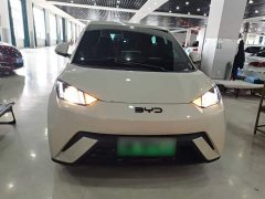 BYD Seagull 2025 305km Vitality Edition - ფოტო 3
