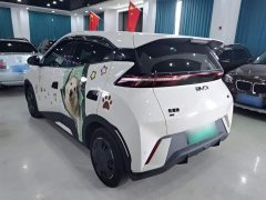 BYD Seagull 2025 305km Vitality Edition - ფოტო 5