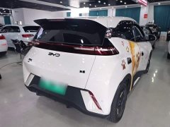 BYD Seagull 2025 305km Vitality Edition - ფოტო 7