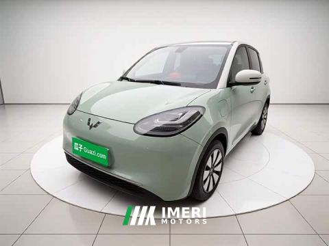 2024 Wuling Binguo 410km Lingxi Premium Edition