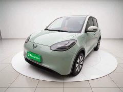 Wuling Binguo 2023 410km Lingxi Premium Edition - ფოტო 2