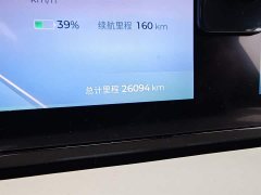 Wuling Binguo 2023 410km Lingxi Premium Edition - ფოტო 5