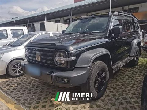2021 Tank 300 Off-Road Edition 2.0T Conqueror - ავტომობილი ჩინეთიდან