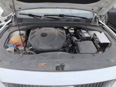 Geely Xingrui 2021 2.0T Diesel Elite - ფოტო 20