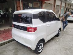 Wuling Hongguang MINIEV Zizai Edition LFP Battery - ფოტო 5