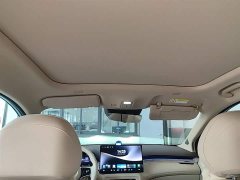 SAIC Shangjie H5 Pure Electric Pro - ფოტო 18