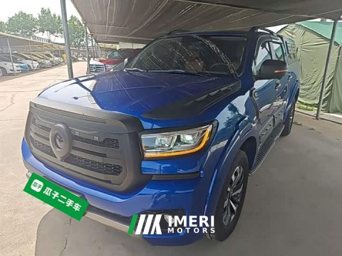 2023 SAIC Cannon 2.0T Passenger Auto Gasoline AWD Sport GW4C20B - ავტომობილი ჩინეთიდან