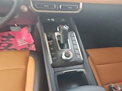 SAIC Cannon 2.0T Passenger Auto Gasoline AWD Sport GW4C20B - ფოტო 14