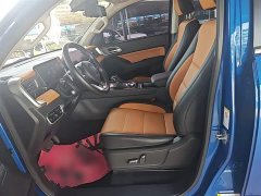 SAIC Cannon 2.0T Passenger Auto Gasoline AWD Sport GW4C20B - ფოტო 15