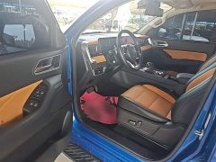 SAIC Cannon 2.0T Passenger Auto Gasoline AWD Sport GW4C20B - ფოტო 16