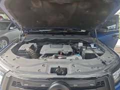 SAIC Cannon 2.0T Passenger Auto Gasoline AWD Sport GW4C20B - ფოტო 20