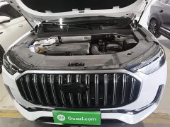 Chery Tiggo 9 2023 2.0T Automatic Two-Wheel Drive Luxury 5-Seater - ფოტო 20