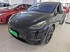 Tesla Model Y Standard Range RWD - ფოტო 1