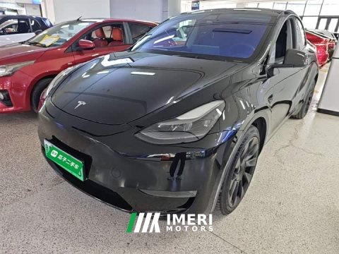 2021 Tesla Model Y Standard Range RWD - ავტომობილი ჩინეთიდან