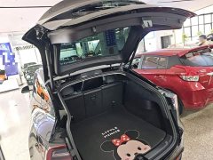 Tesla Model Y Standard Range RWD - ფოტო 19