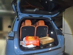 Li Auto L9 Max - ფოტო 10