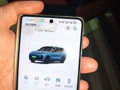 Li Auto L9 Max - ფოტო 12