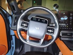 Li Auto L9 Max - ფოტო 3