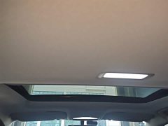Geely Emgrand 4th Generation 1.5L CVT Luxury - ფოტო 18