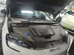 BYD Dolphin 700km Long Range Rear-Wheel Drive - ფოტო 20